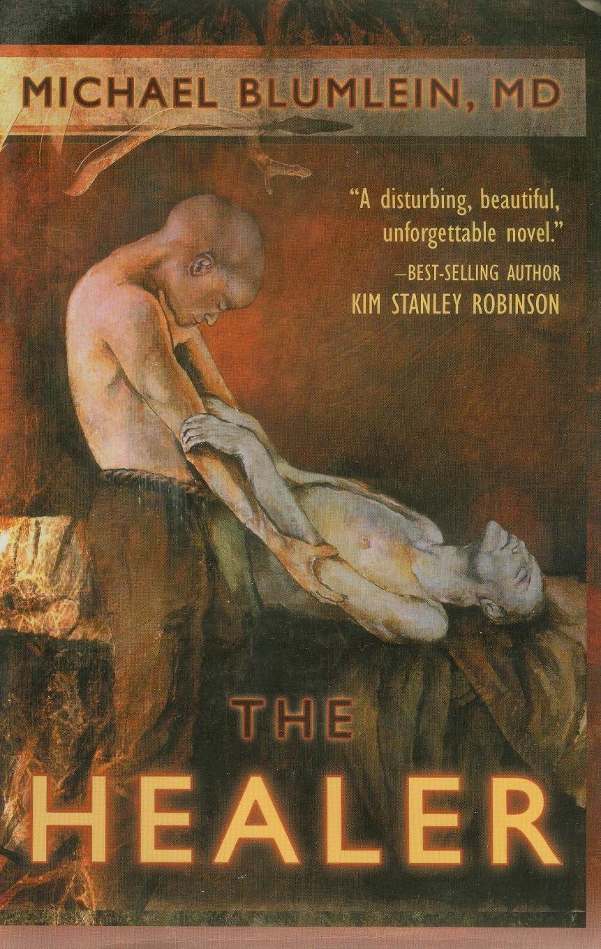 The Healer cover image